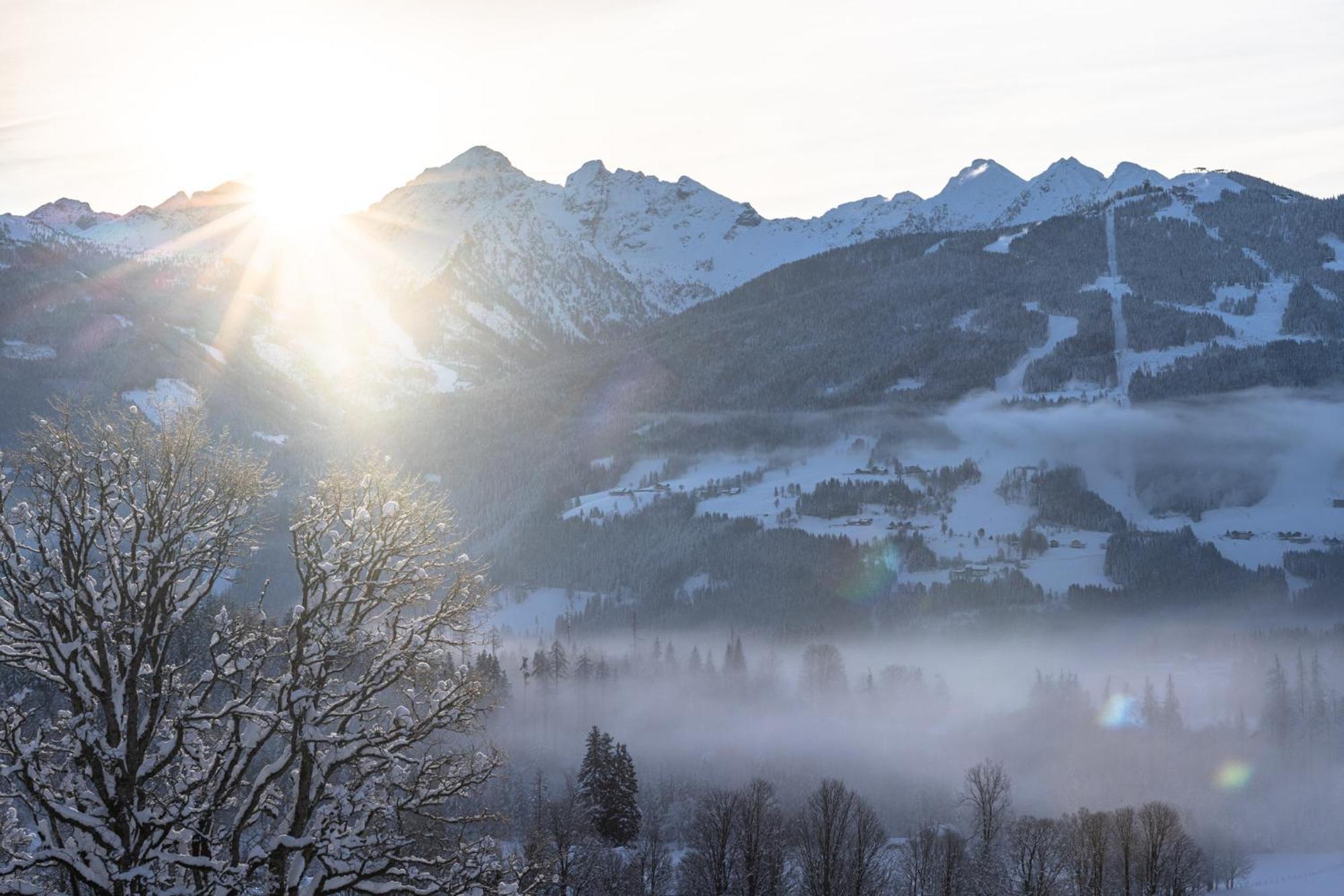 Pension Dachsteinhof Ramsau am Dachstein Extérieur photo