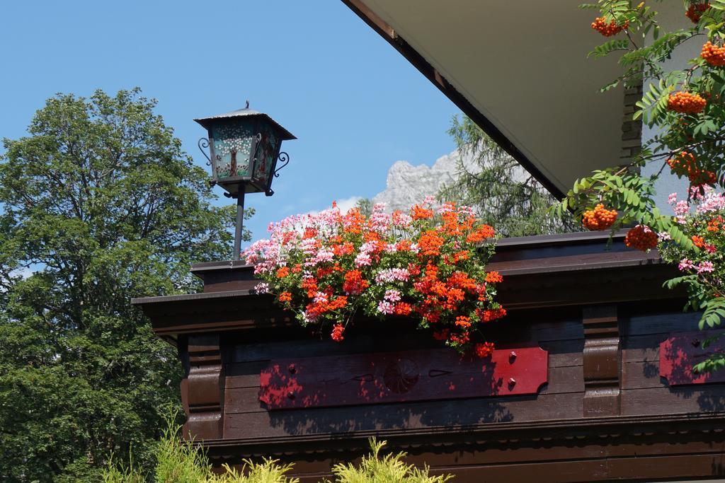 Pension Dachsteinhof Ramsau am Dachstein Extérieur photo