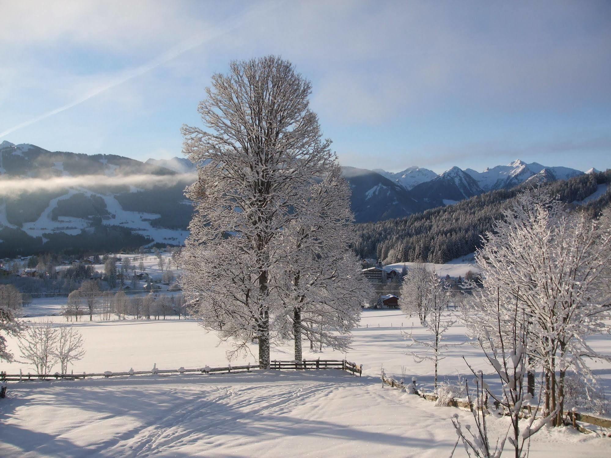 Pension Dachsteinhof Ramsau am Dachstein Extérieur photo