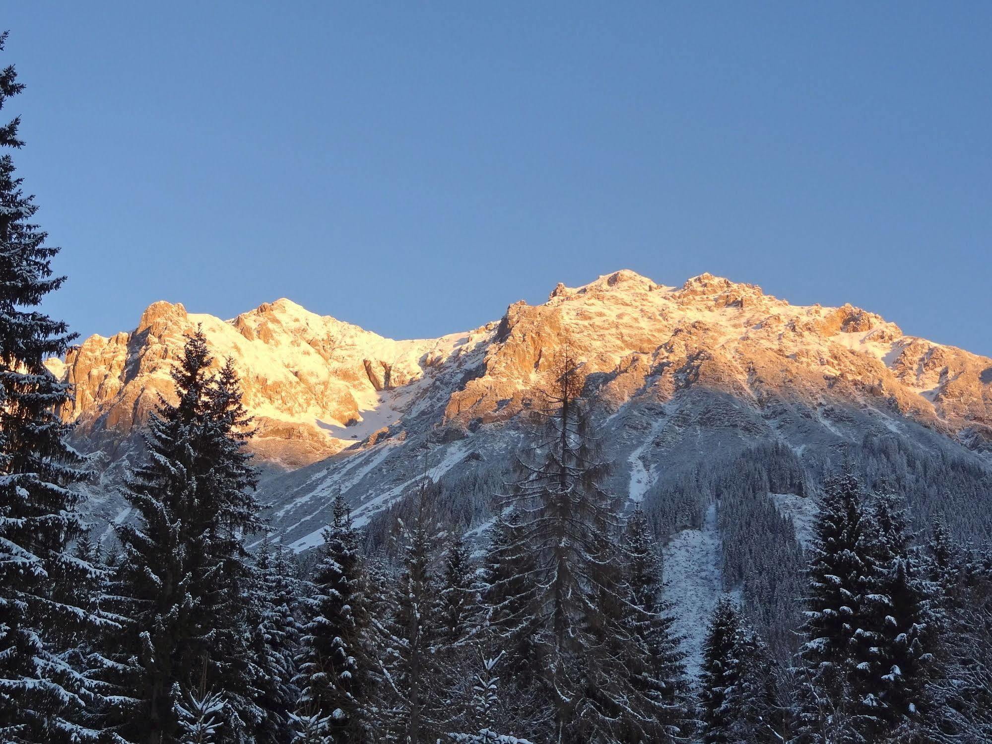 Pension Dachsteinhof Ramsau am Dachstein Extérieur photo